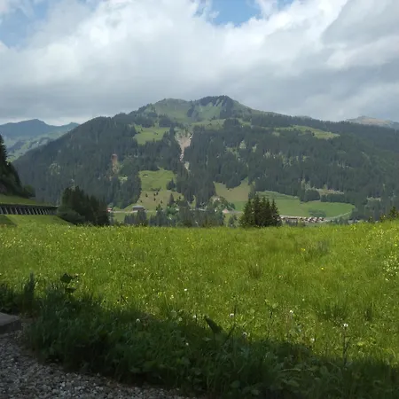 Berg 4 Apartman *