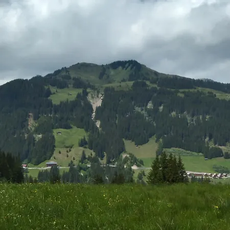 Berg 4 Apartman *